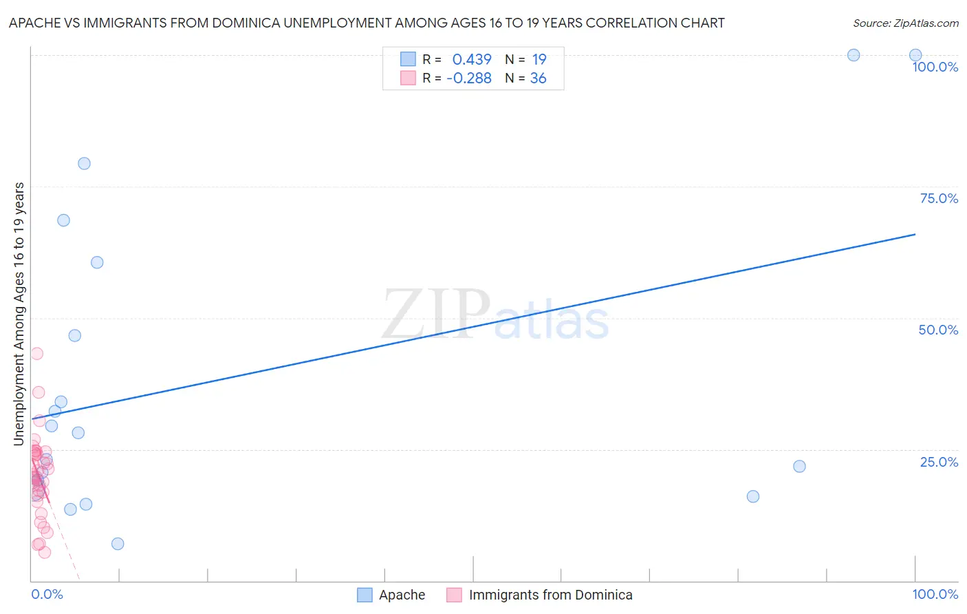 Apache vs Immigrants from Dominica Unemployment Among Ages 16 to 19 years