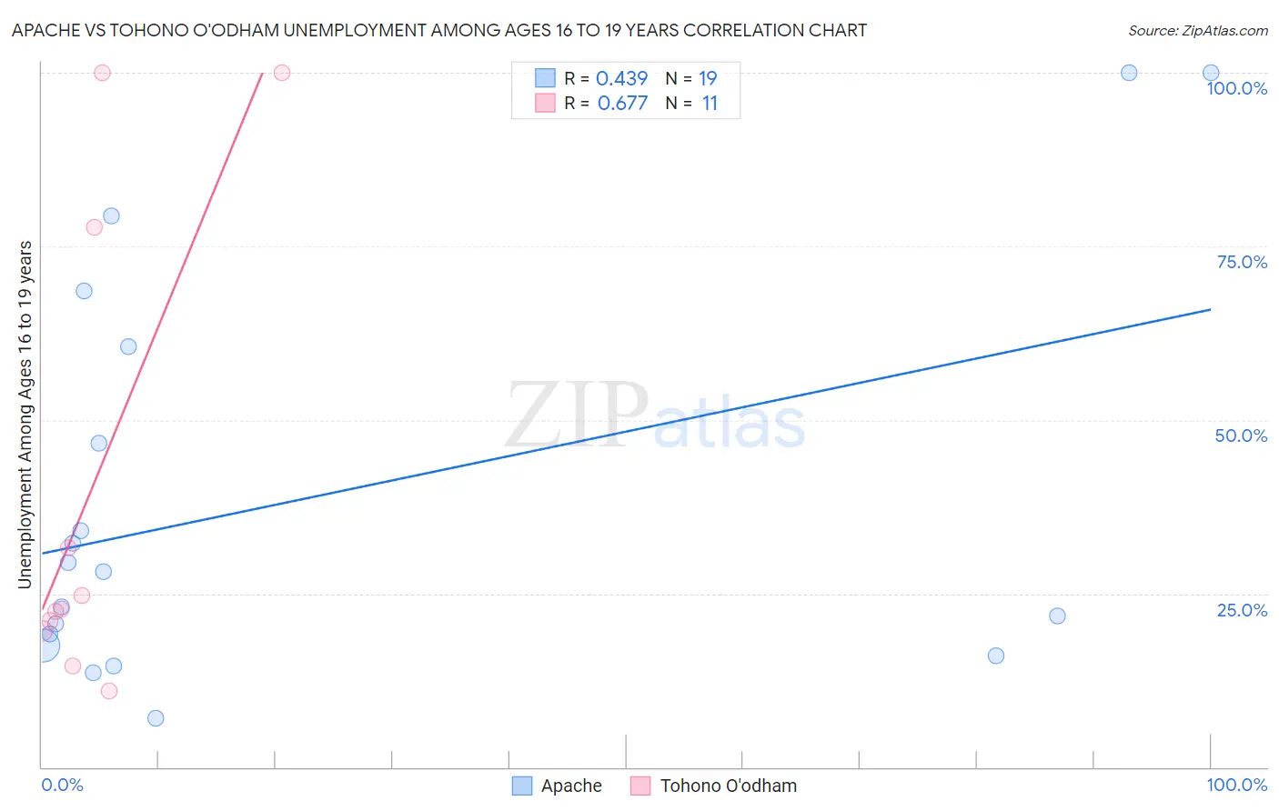 Apache vs Tohono O'odham Unemployment Among Ages 16 to 19 years