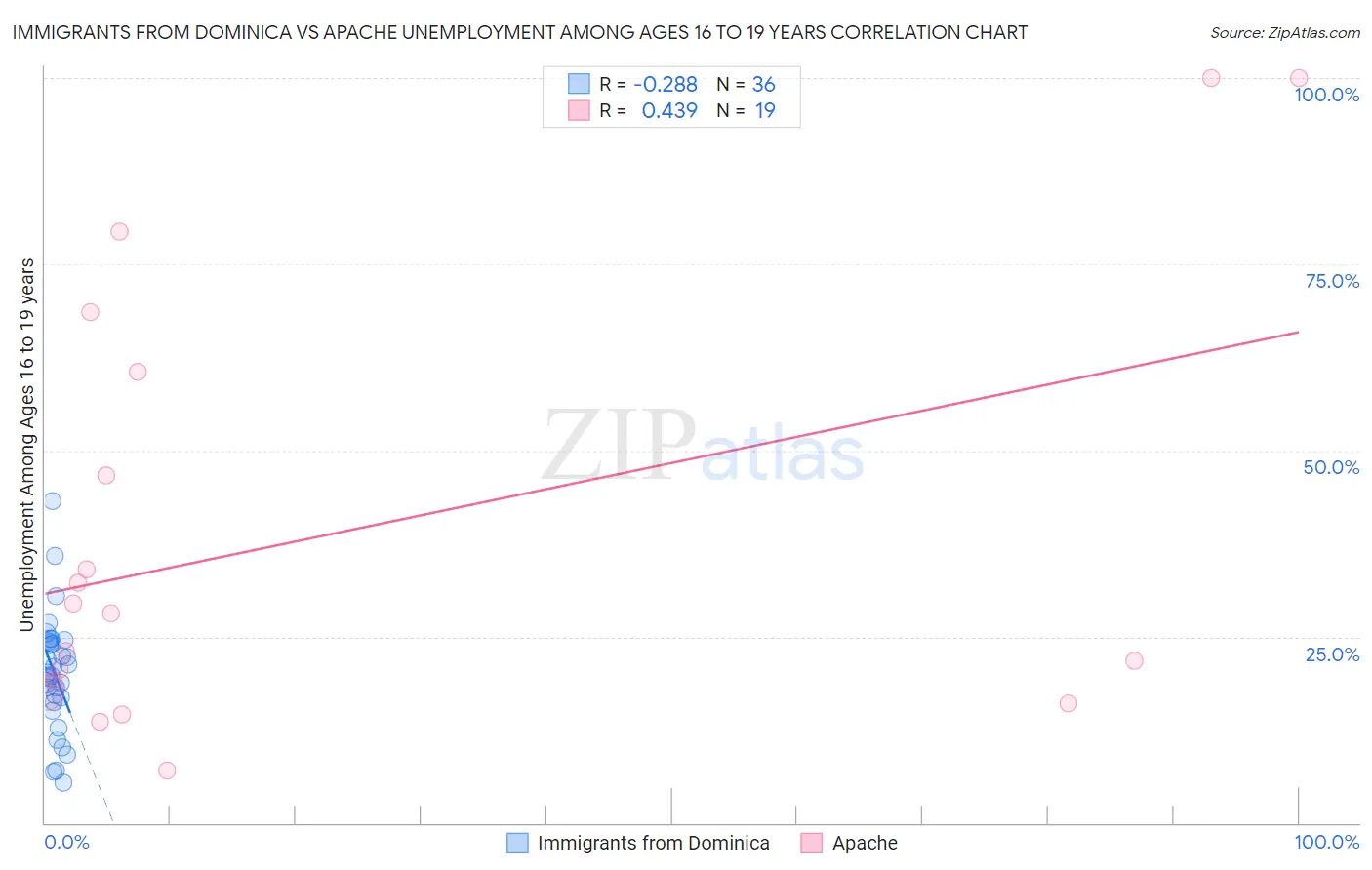 Immigrants from Dominica vs Apache Unemployment Among Ages 16 to 19 years