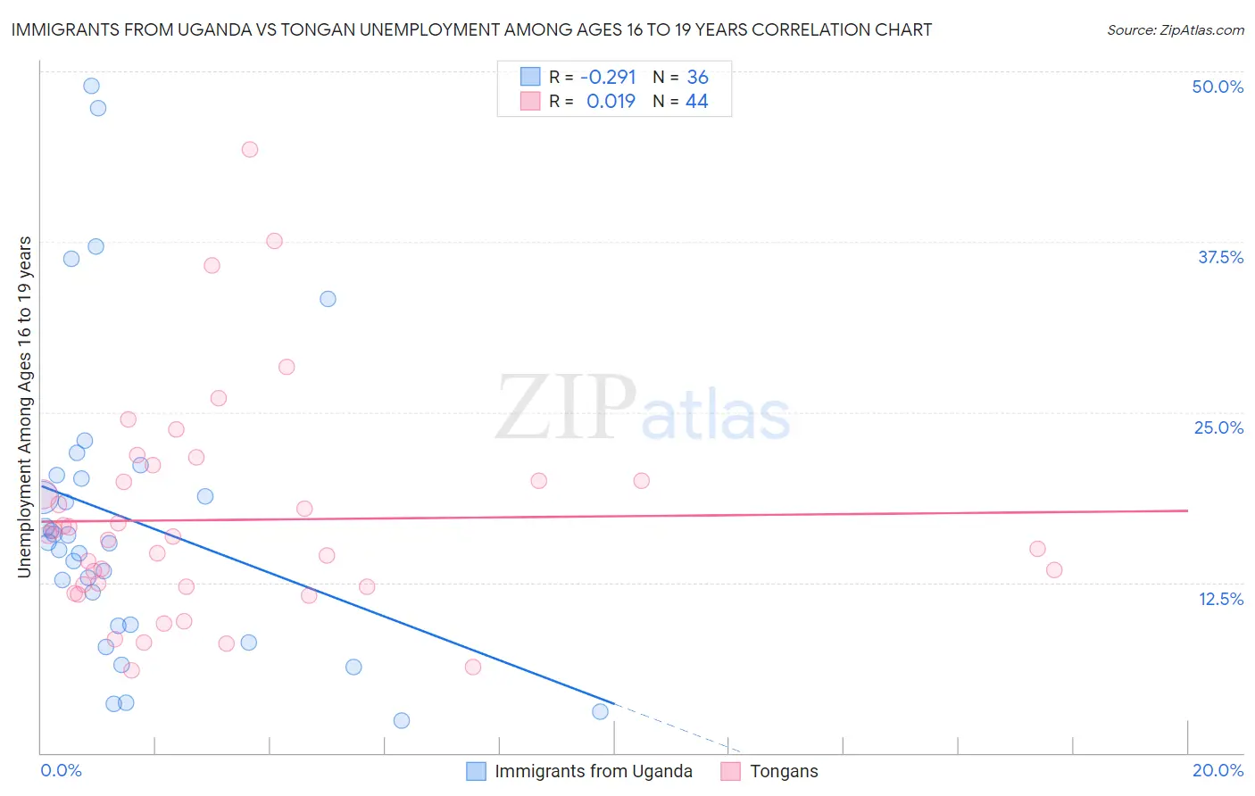 Immigrants from Uganda vs Tongan Unemployment Among Ages 16 to 19 years