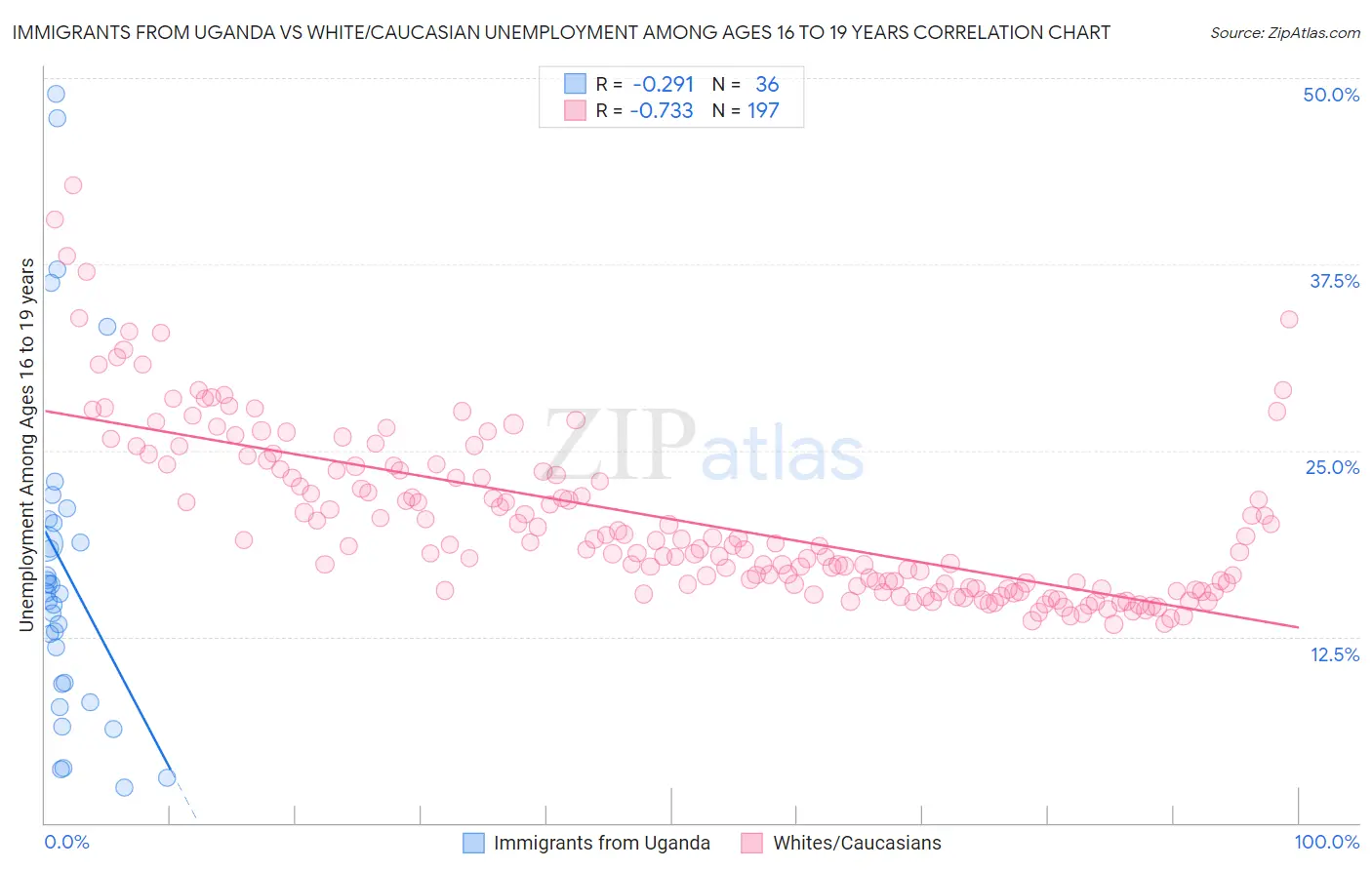 Immigrants from Uganda vs White/Caucasian Unemployment Among Ages 16 to 19 years