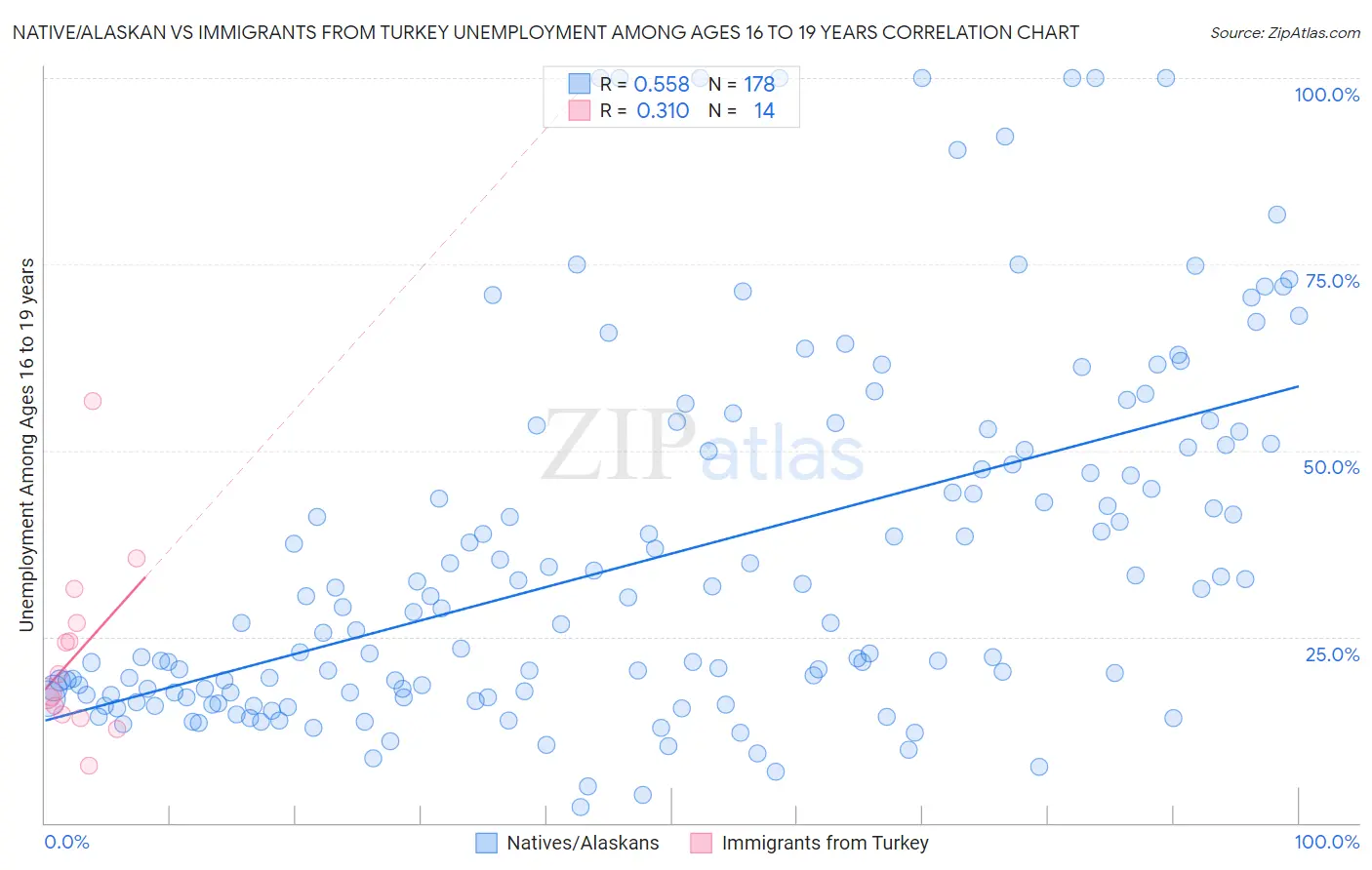 Native/Alaskan vs Immigrants from Turkey Unemployment Among Ages 16 to 19 years