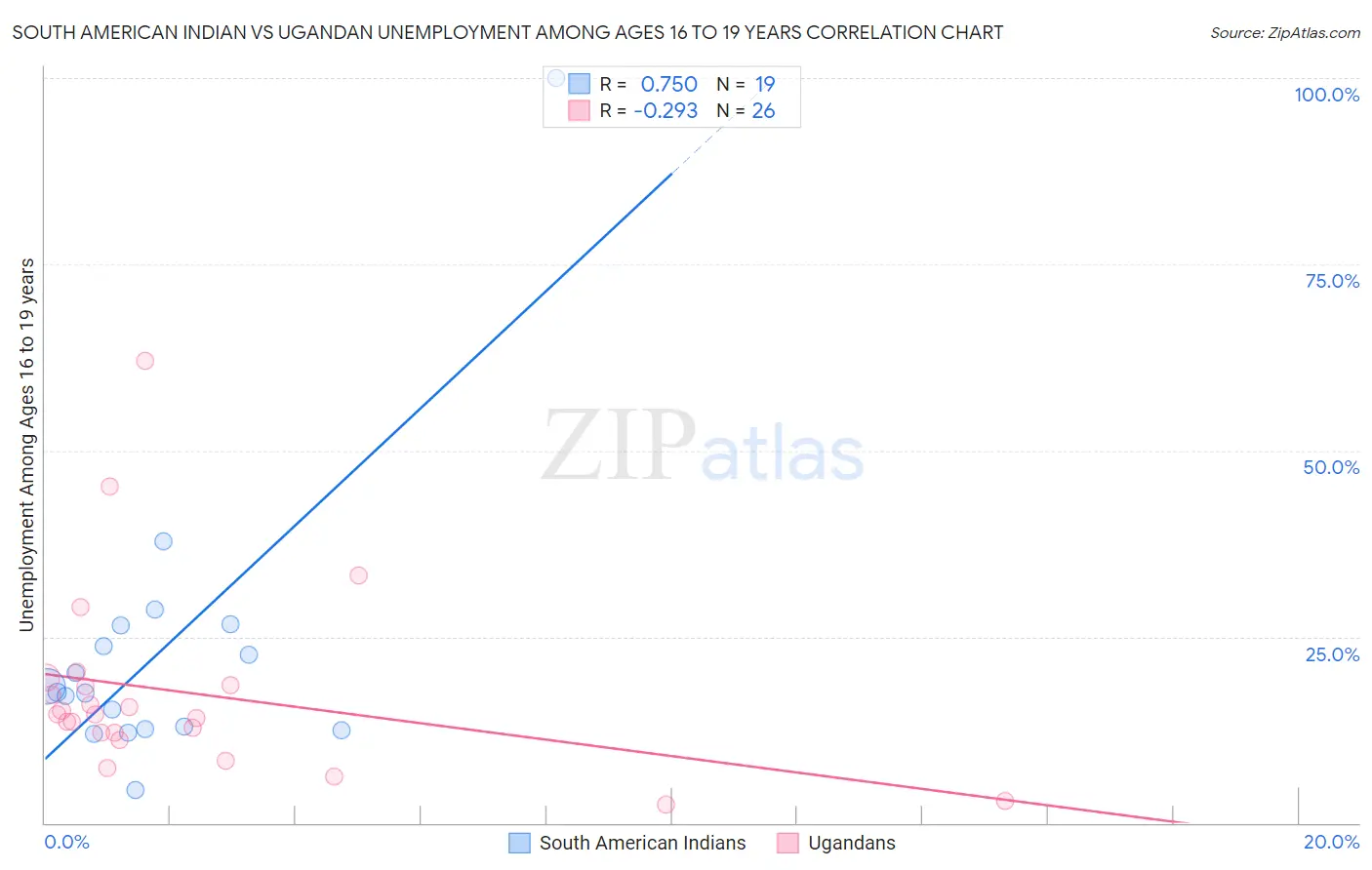 South American Indian vs Ugandan Unemployment Among Ages 16 to 19 years