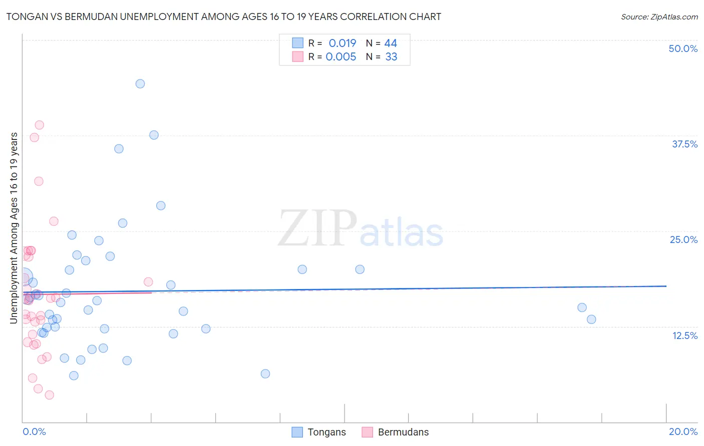 Tongan vs Bermudan Unemployment Among Ages 16 to 19 years
