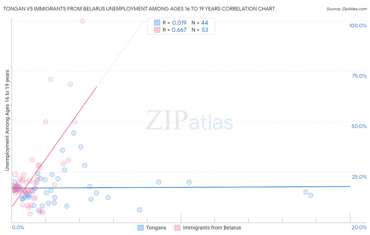 Tongan vs Immigrants from Belarus Unemployment Among Ages 16 to 19 years