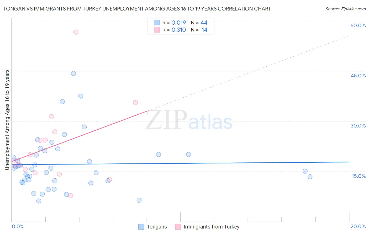 Tongan vs Immigrants from Turkey Unemployment Among Ages 16 to 19 years