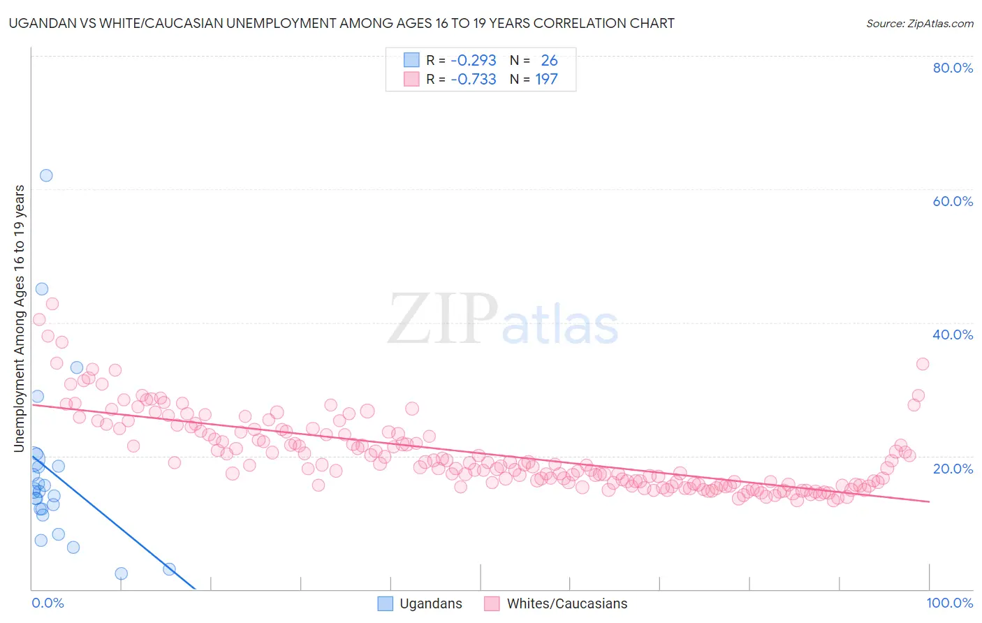 Ugandan vs White/Caucasian Unemployment Among Ages 16 to 19 years