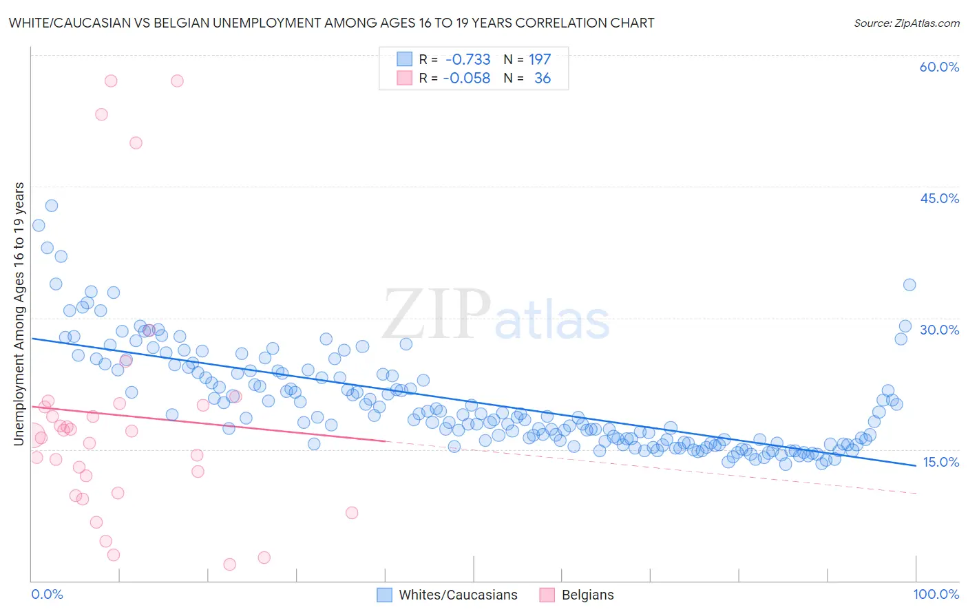 White/Caucasian vs Belgian Unemployment Among Ages 16 to 19 years