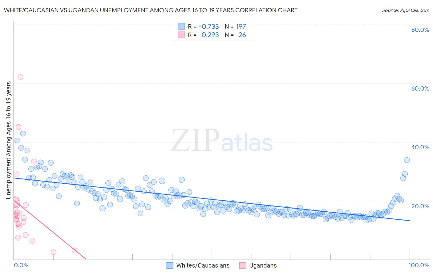 White/Caucasian vs Ugandan Unemployment Among Ages 16 to 19 years
