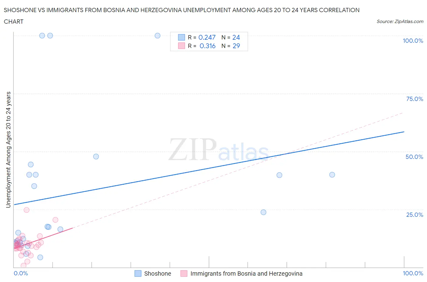 Shoshone vs Immigrants from Bosnia and Herzegovina Unemployment Among Ages 20 to 24 years
