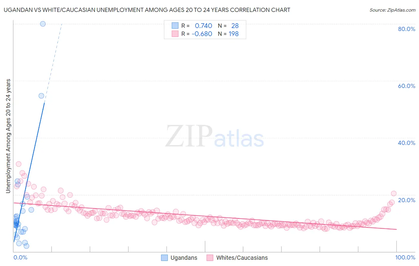 Ugandan vs White/Caucasian Unemployment Among Ages 20 to 24 years
