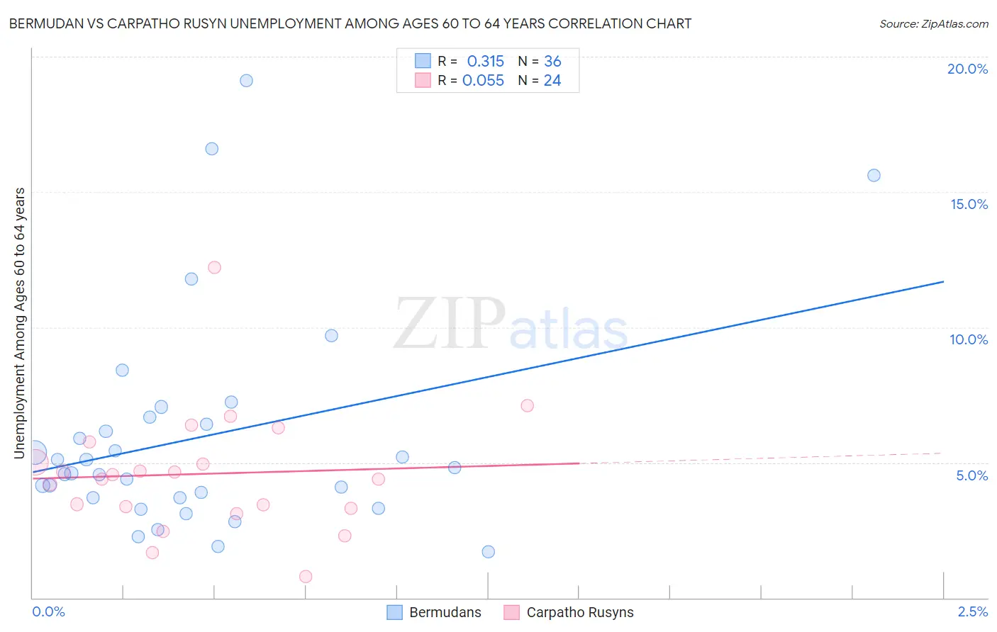 Bermudan vs Carpatho Rusyn Unemployment Among Ages 60 to 64 years