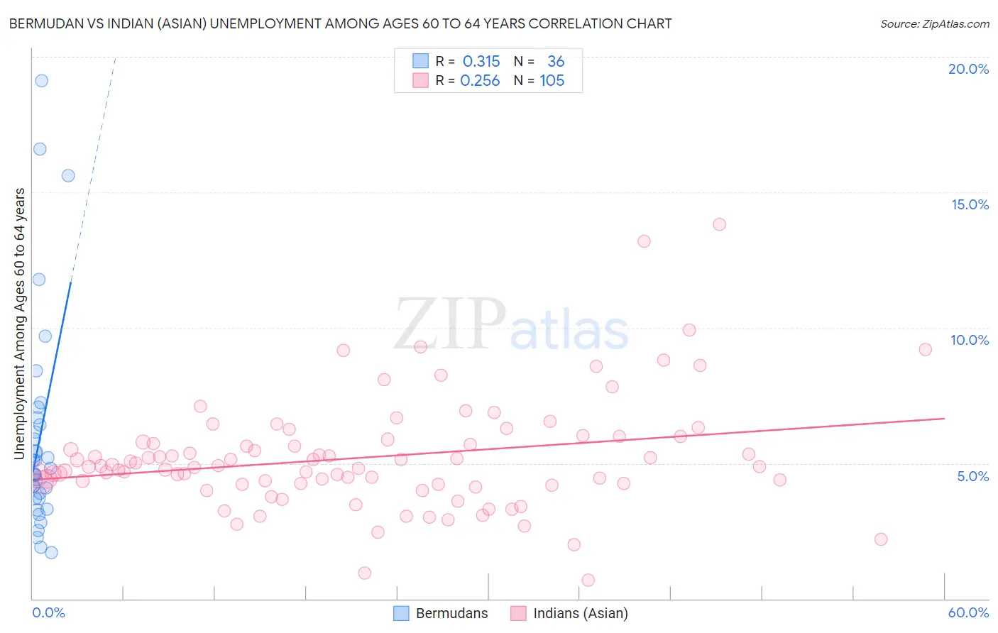 Bermudan vs Indian (Asian) Unemployment Among Ages 60 to 64 years