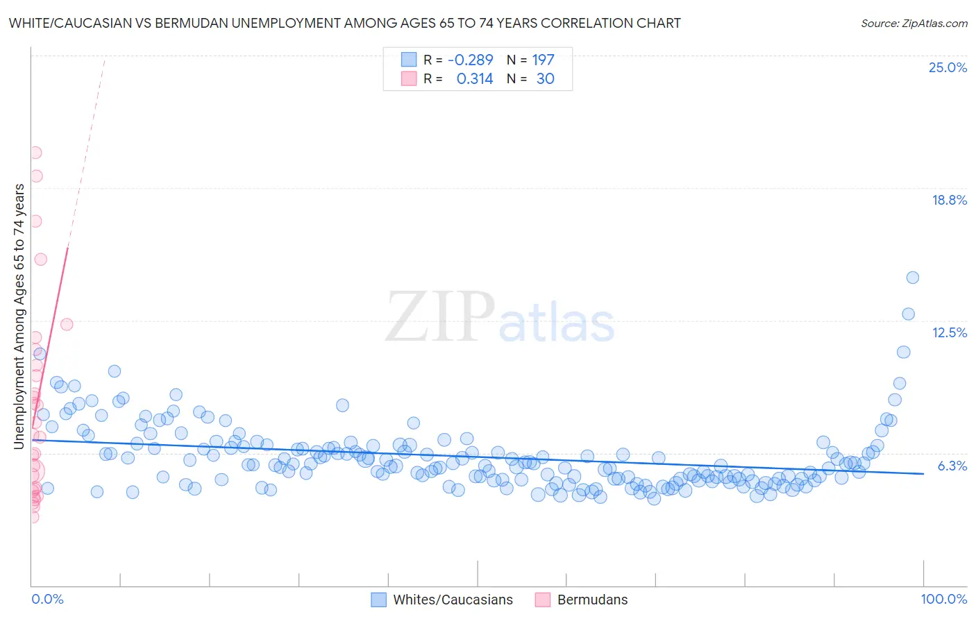 White/Caucasian vs Bermudan Unemployment Among Ages 65 to 74 years