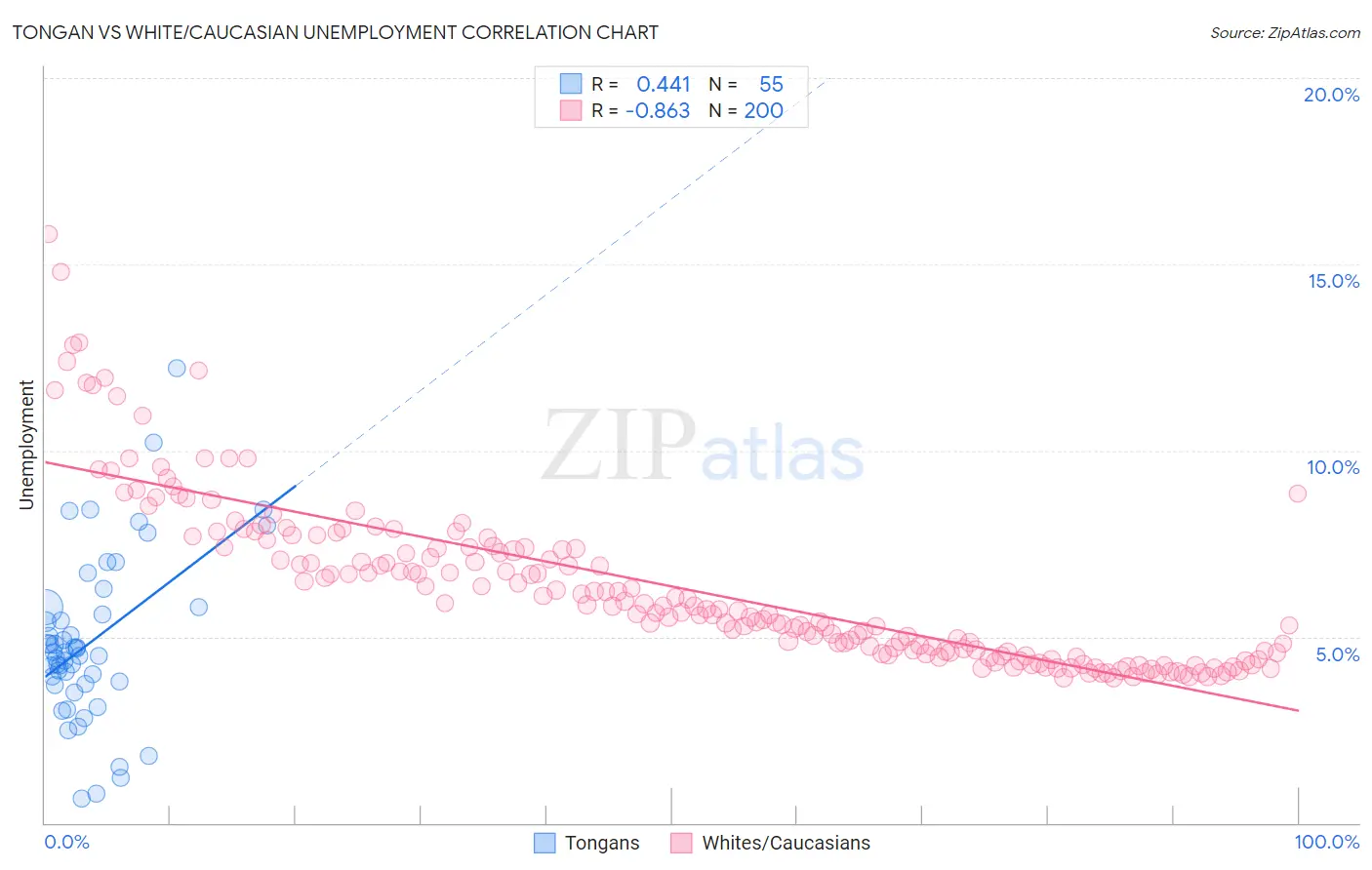 Tongan vs White/Caucasian Unemployment