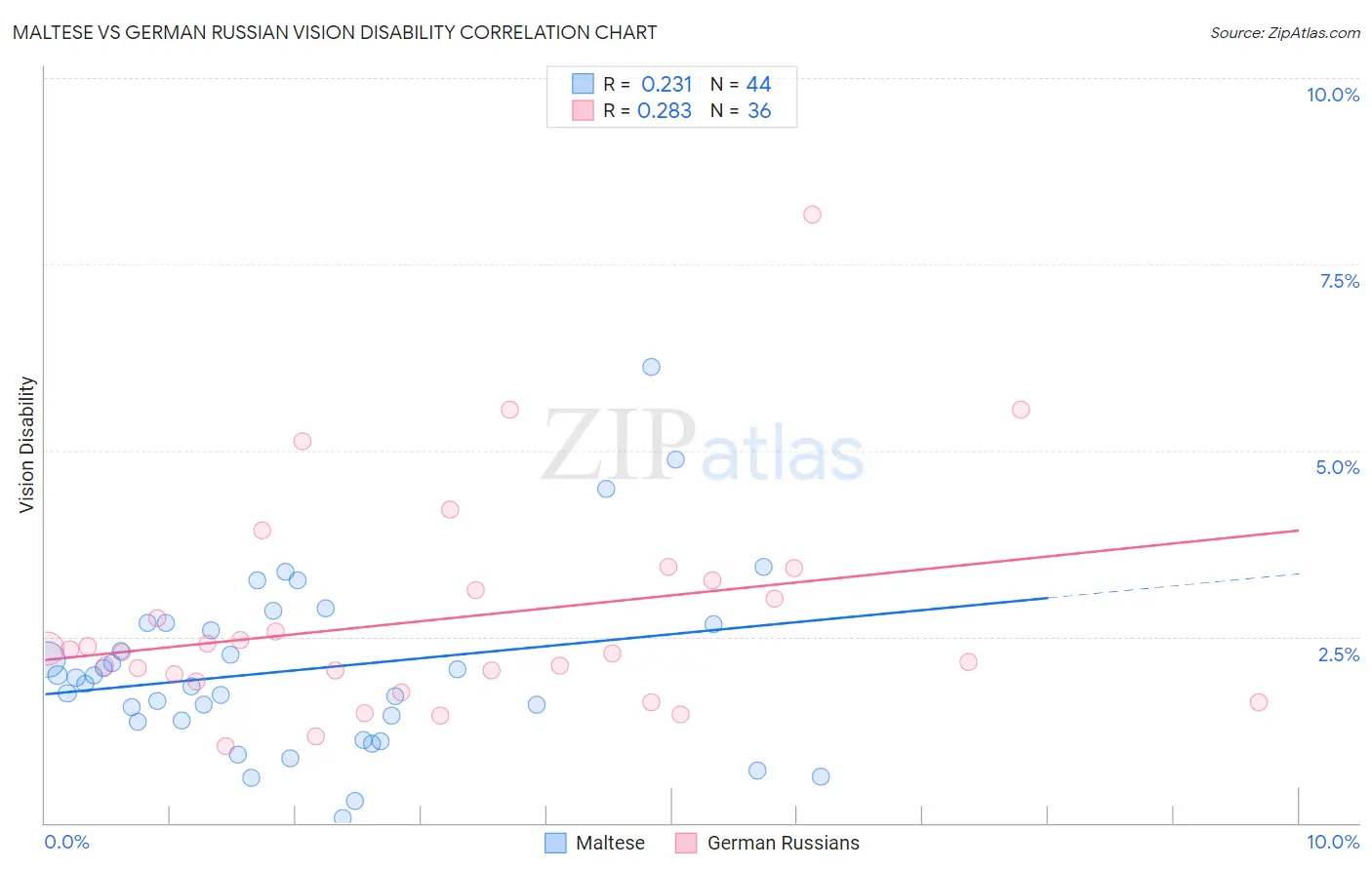 Maltese vs German Russian Vision Disability