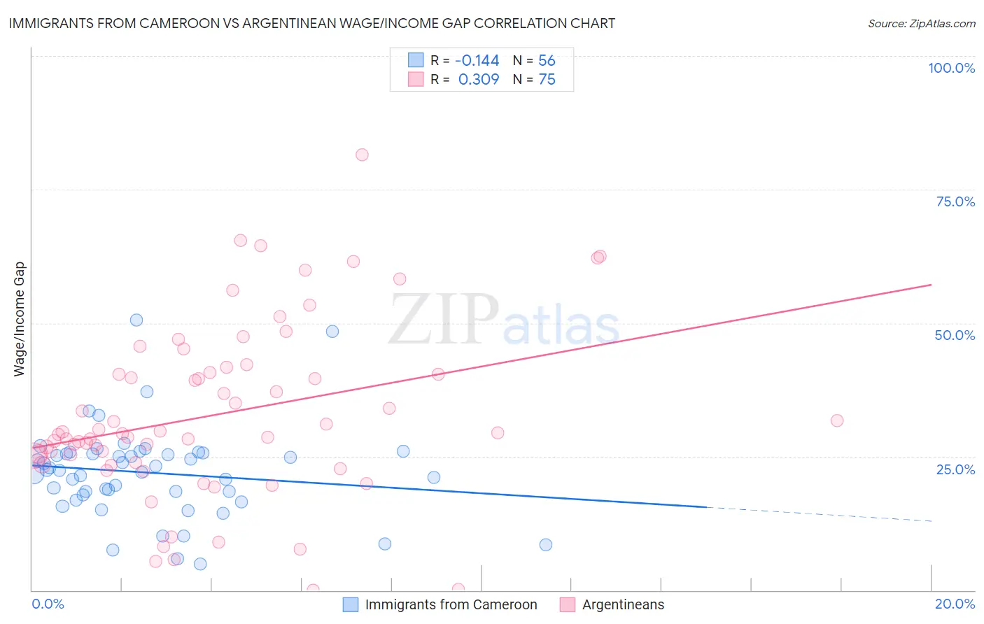 Immigrants from Cameroon vs Argentinean Wage/Income Gap