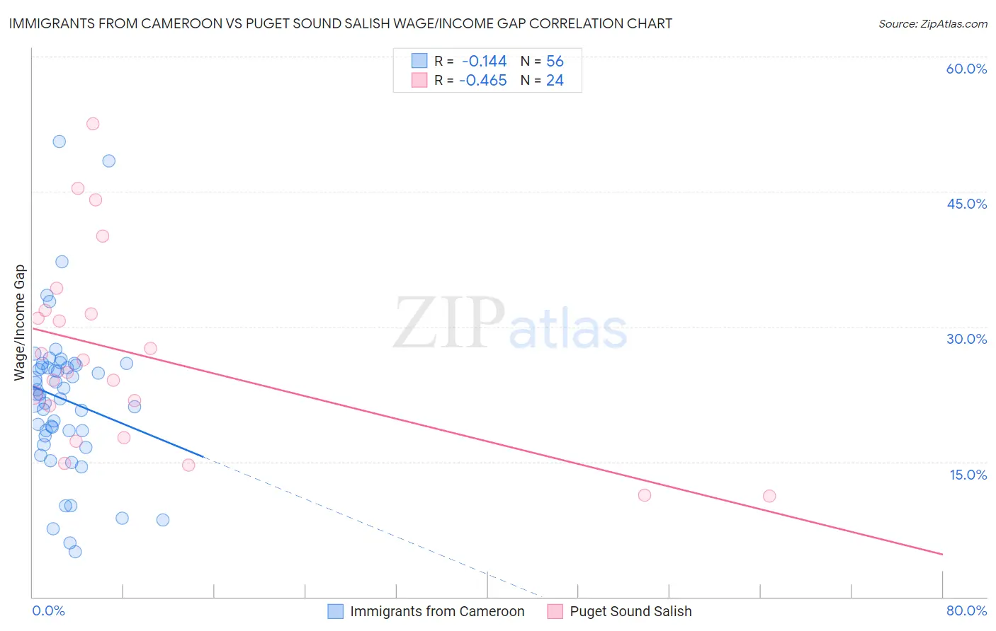 Immigrants from Cameroon vs Puget Sound Salish Wage/Income Gap
