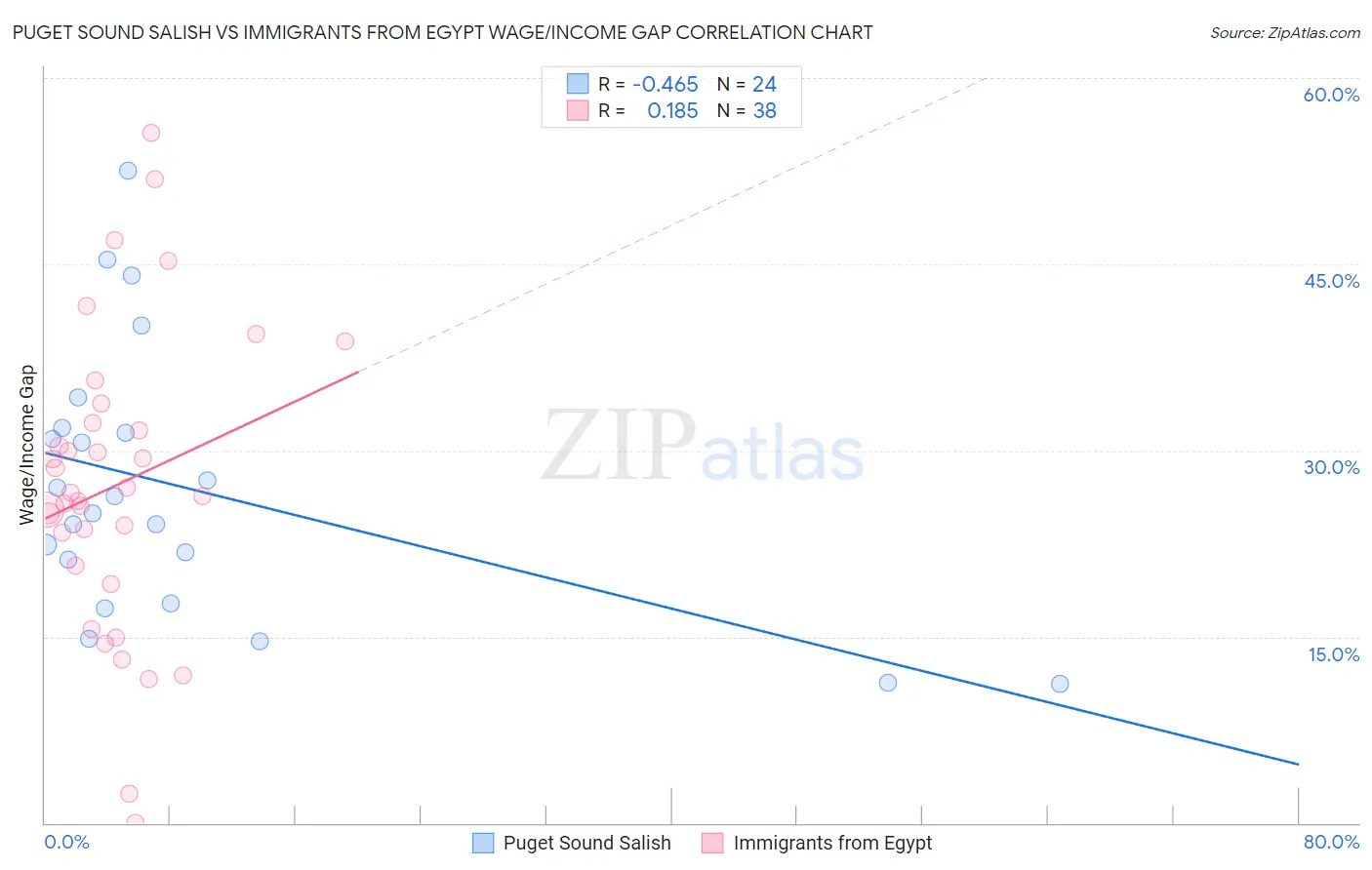 Puget Sound Salish vs Immigrants from Egypt Wage/Income Gap