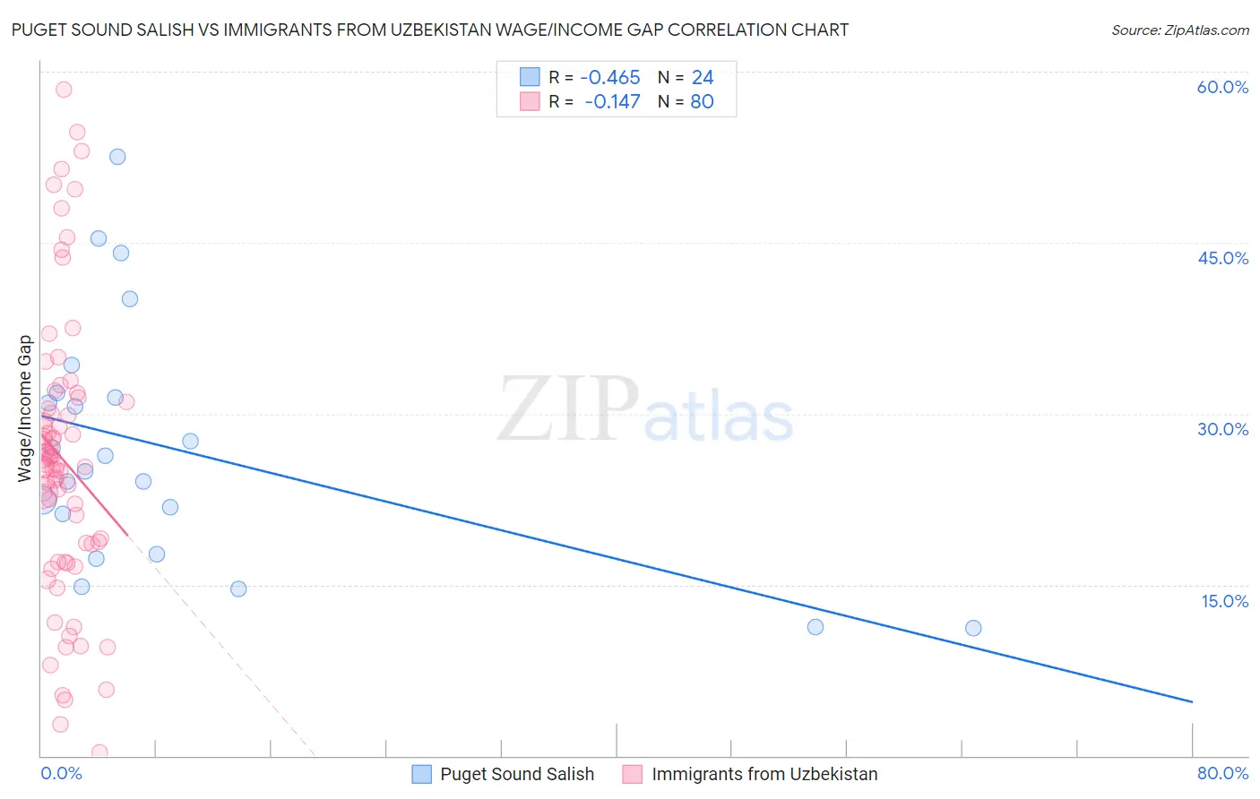 Puget Sound Salish vs Immigrants from Uzbekistan Wage/Income Gap