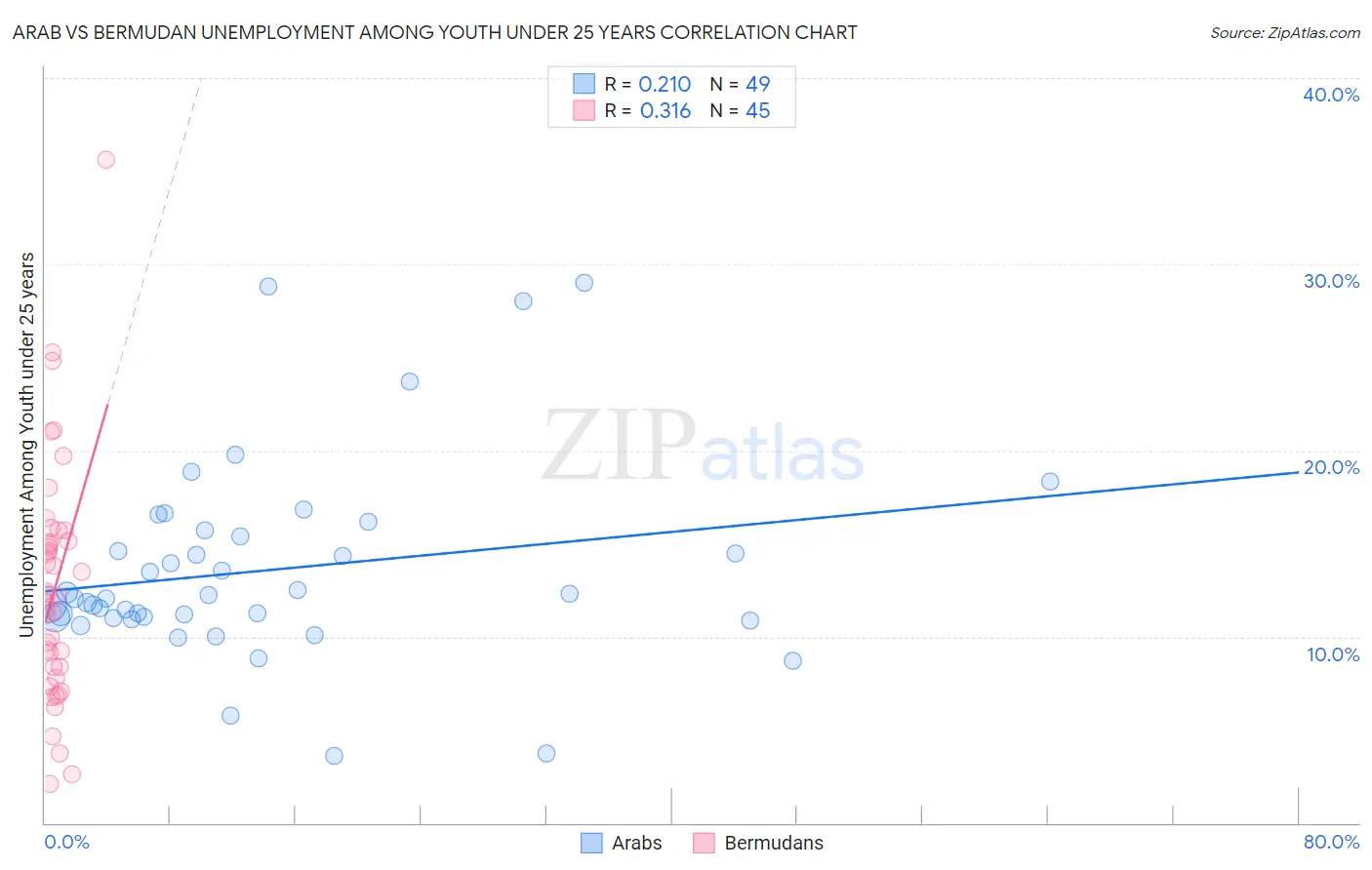 Arab vs Bermudan Unemployment Among Youth under 25 years