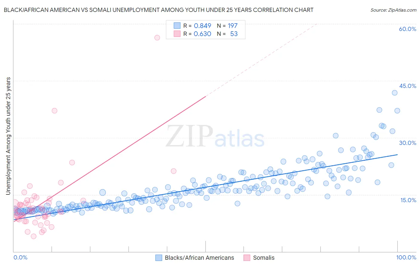 Black/African American vs Somali Unemployment Among Youth under 25 years