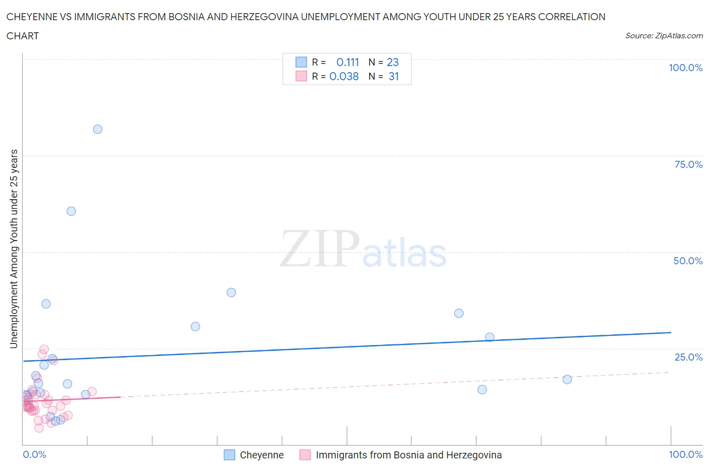 Cheyenne vs Immigrants from Bosnia and Herzegovina Unemployment Among Youth under 25 years