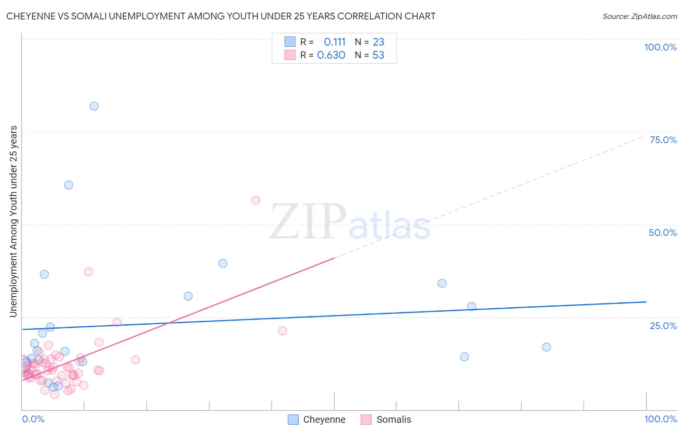 Cheyenne vs Somali Unemployment Among Youth under 25 years