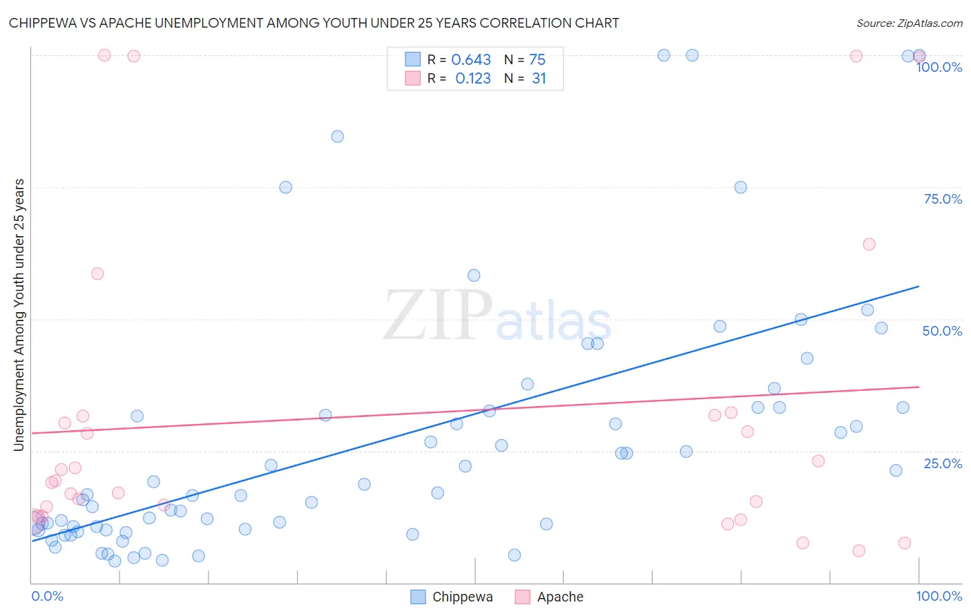 Chippewa vs Apache Unemployment Among Youth under 25 years