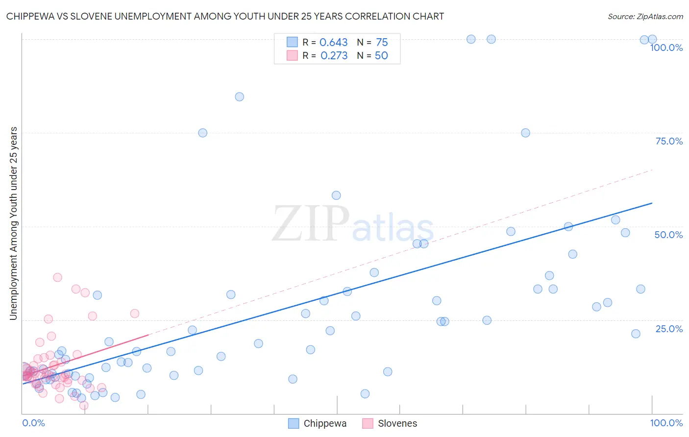 Chippewa vs Slovene Unemployment Among Youth under 25 years
