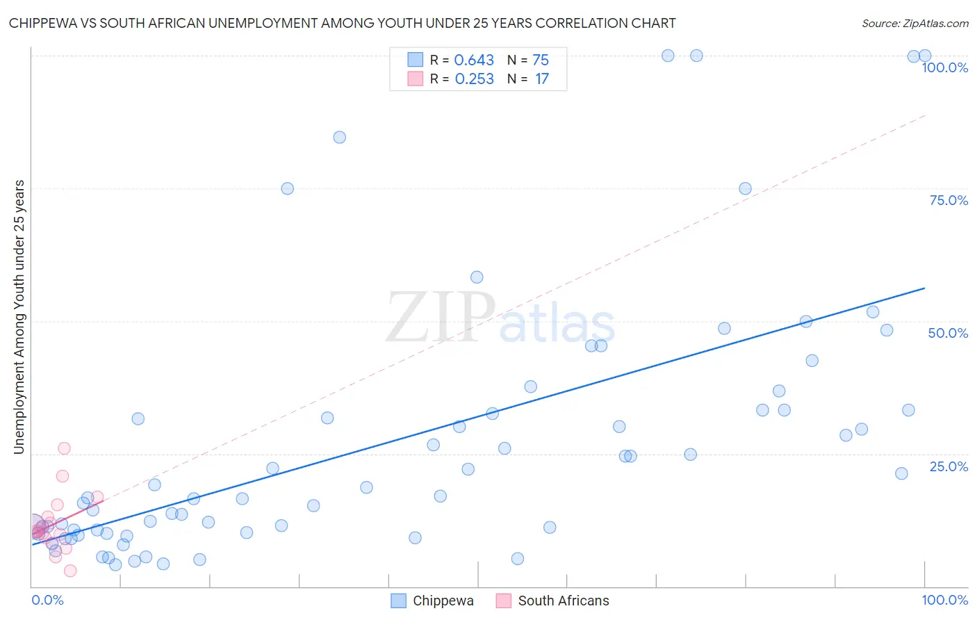 Chippewa vs South African Unemployment Among Youth under 25 years