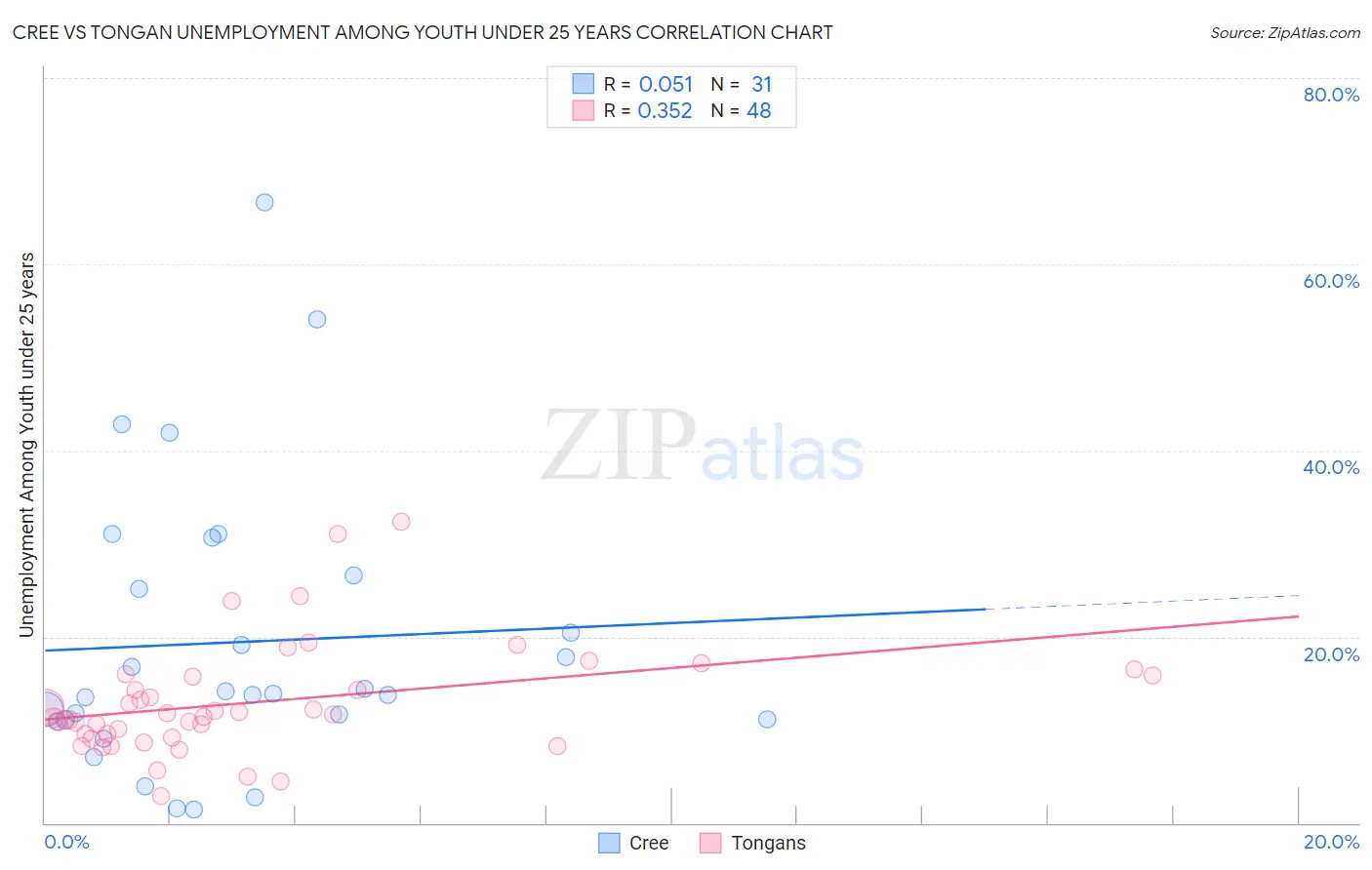 Cree vs Tongan Unemployment Among Youth under 25 years