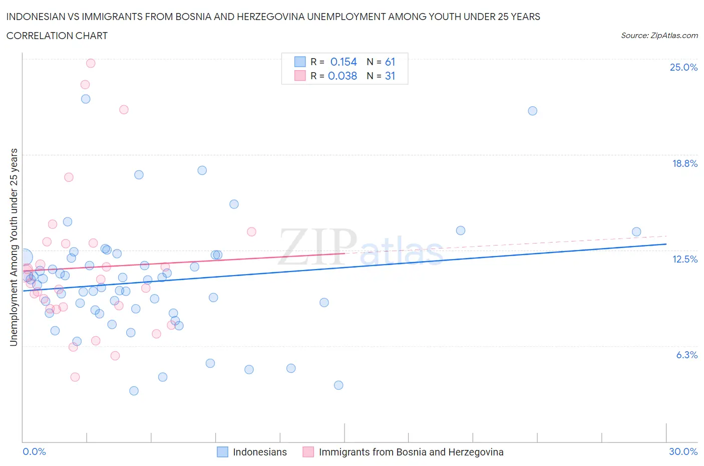 Indonesian vs Immigrants from Bosnia and Herzegovina Unemployment Among Youth under 25 years