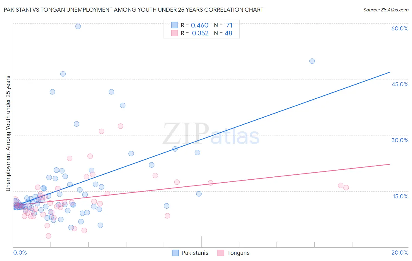 Pakistani vs Tongan Unemployment Among Youth under 25 years