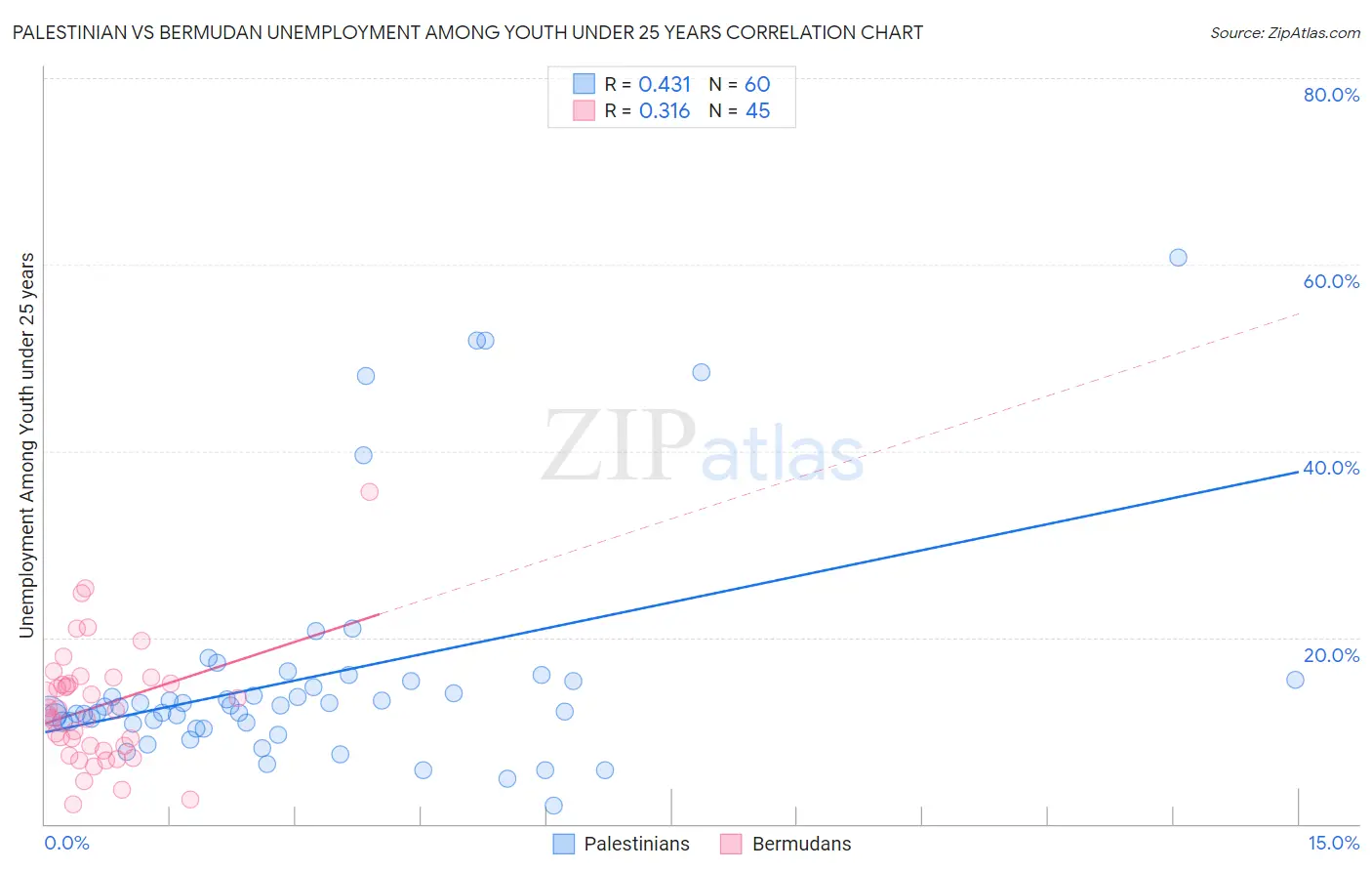 Palestinian vs Bermudan Unemployment Among Youth under 25 years