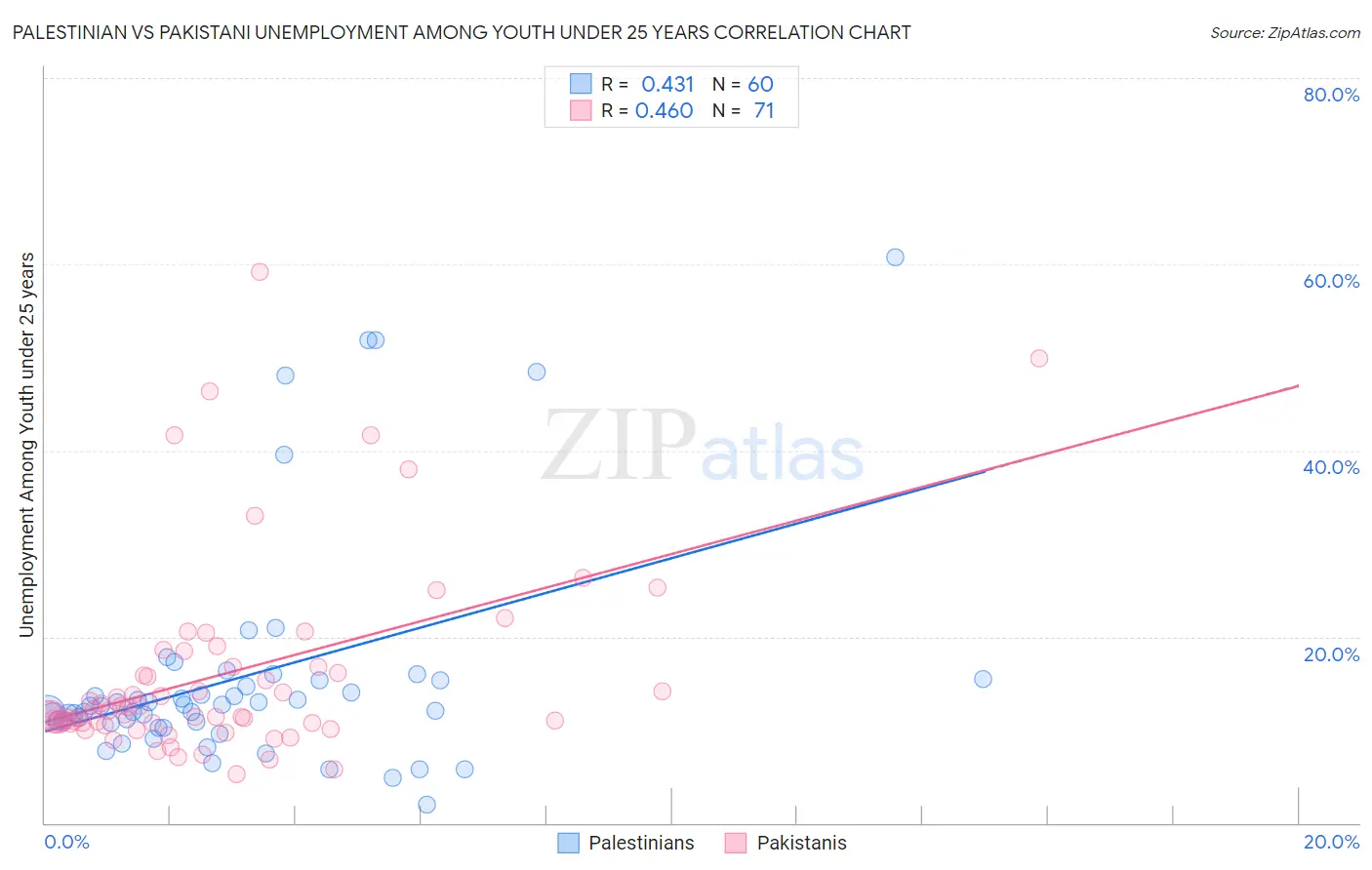 Palestinian vs Pakistani Unemployment Among Youth under 25 years