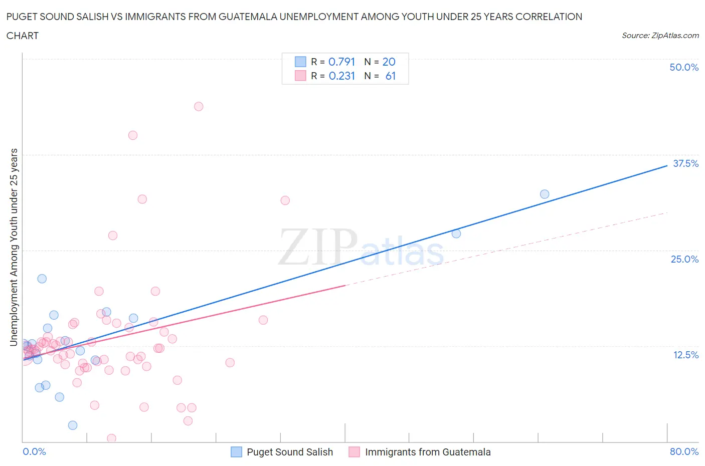 Puget Sound Salish vs Immigrants from Guatemala Unemployment Among Youth under 25 years