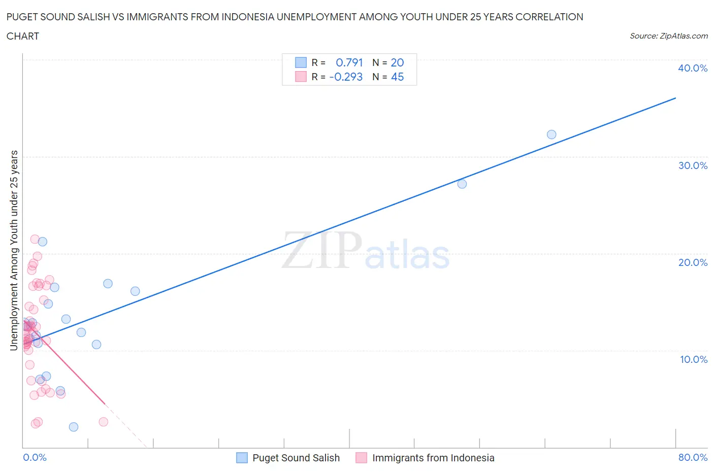 Puget Sound Salish vs Immigrants from Indonesia Unemployment Among Youth under 25 years