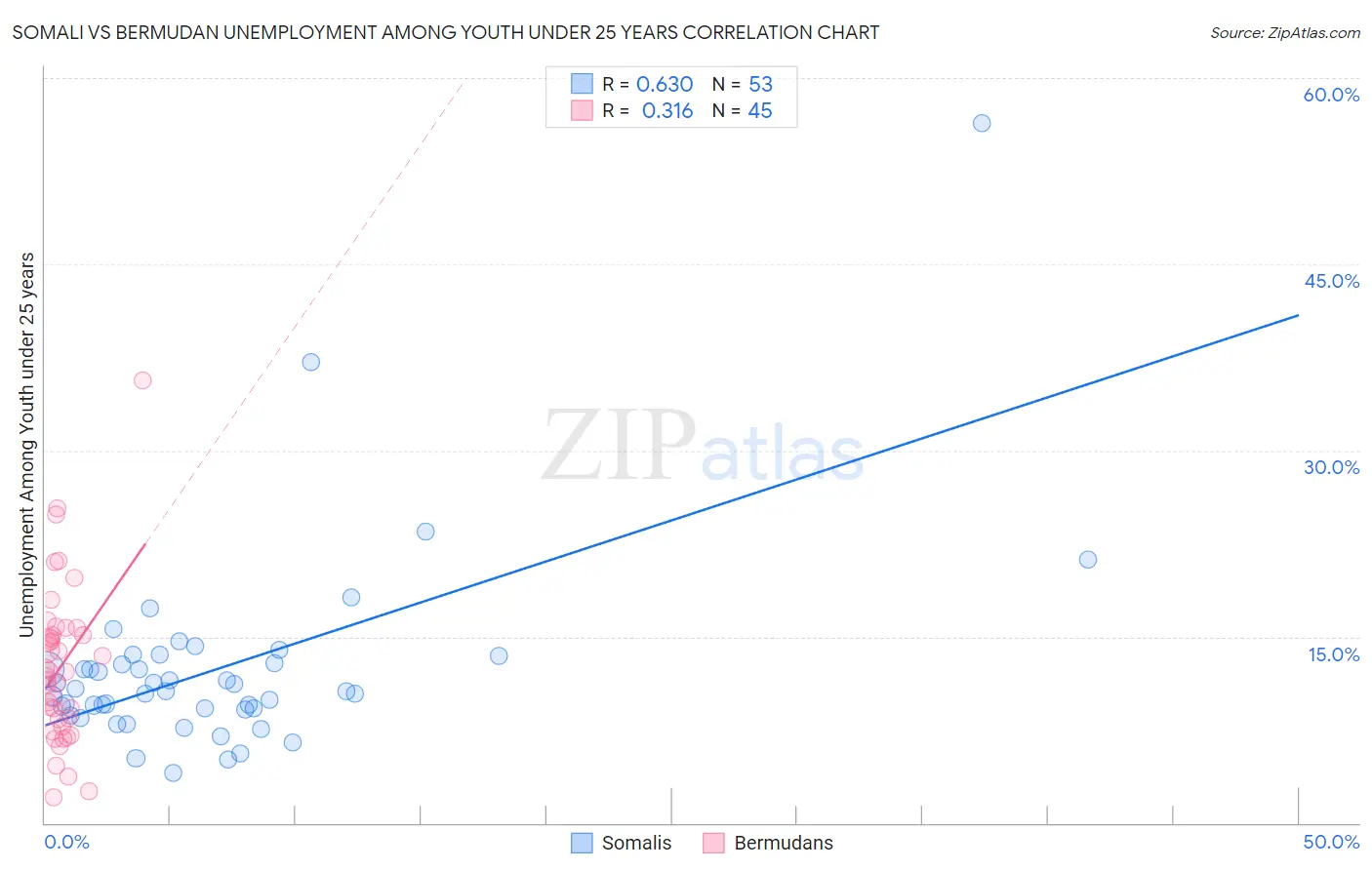Somali vs Bermudan Unemployment Among Youth under 25 years