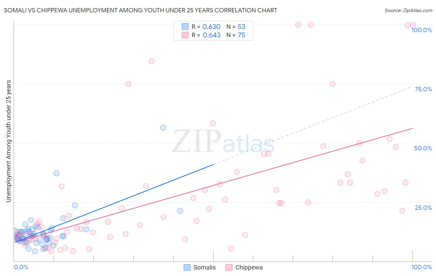 Somali vs Chippewa Unemployment Among Youth under 25 years