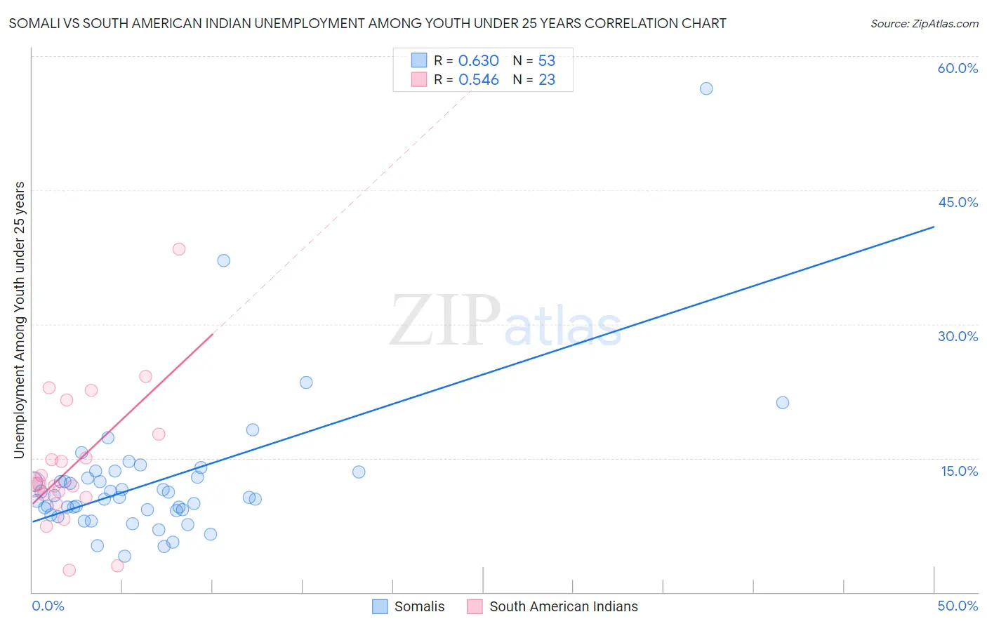 Somali vs South American Indian Unemployment Among Youth under 25 years