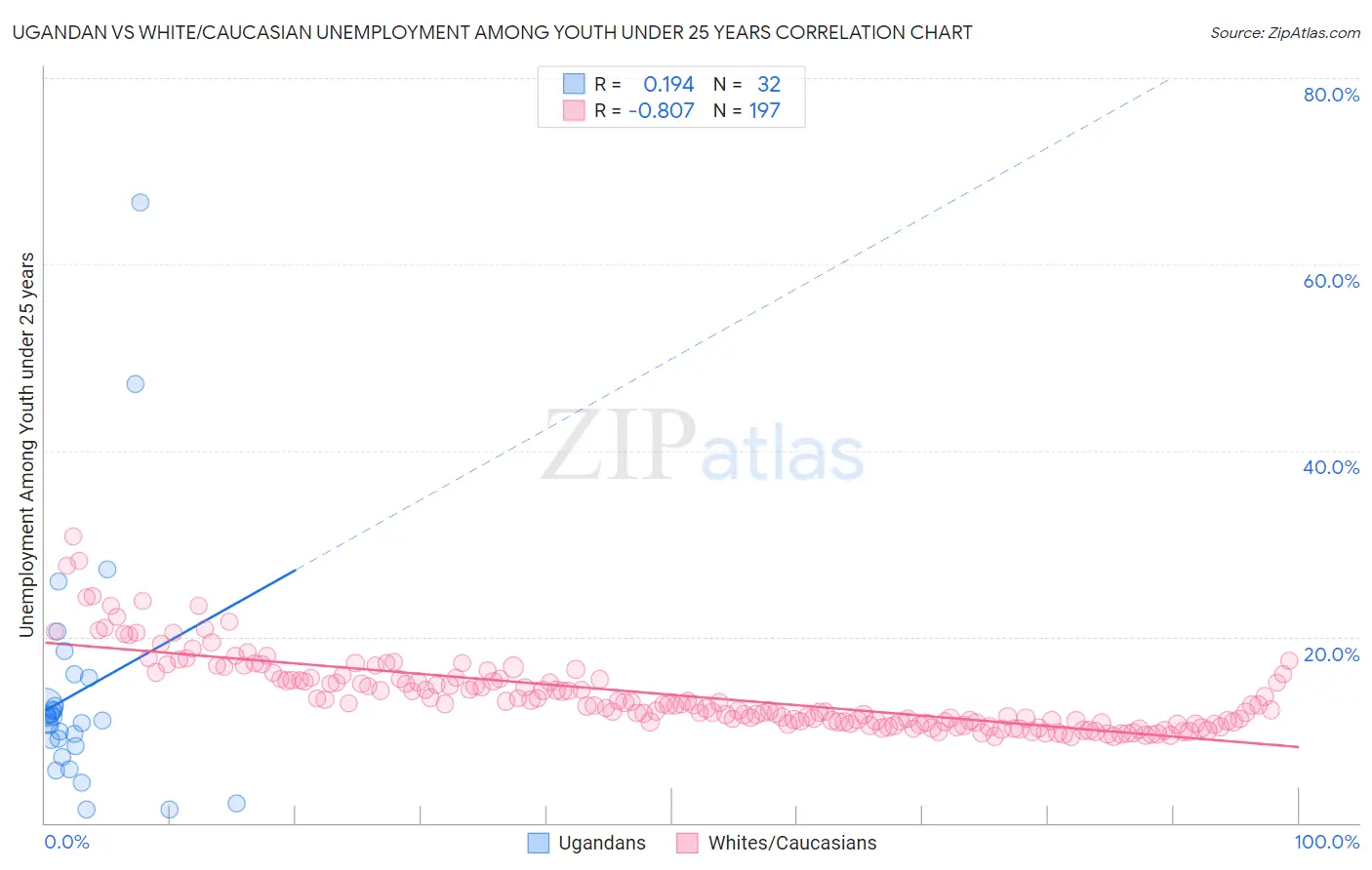 Ugandan vs White/Caucasian Unemployment Among Youth under 25 years