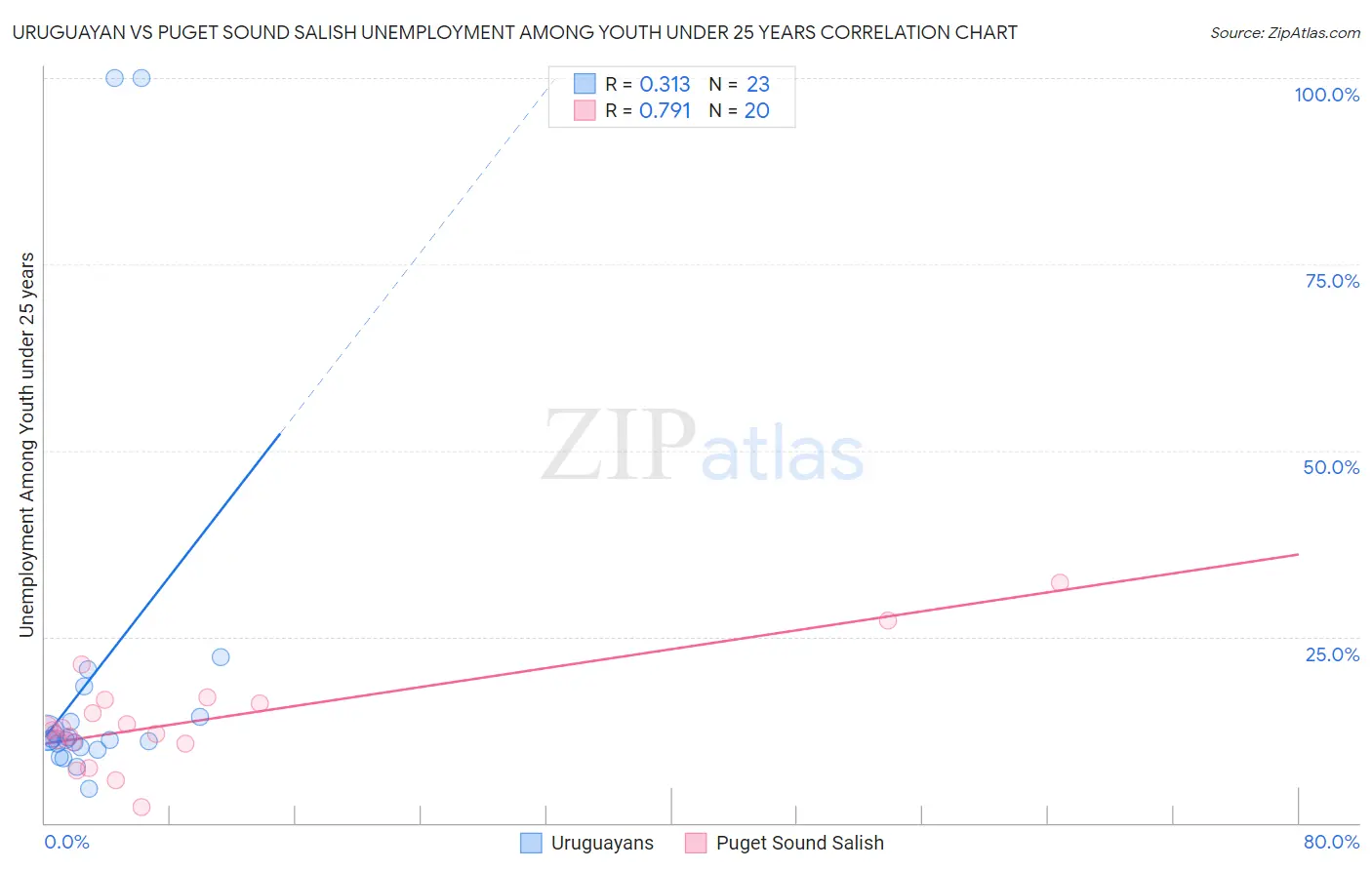 Uruguayan vs Puget Sound Salish Unemployment Among Youth under 25 years