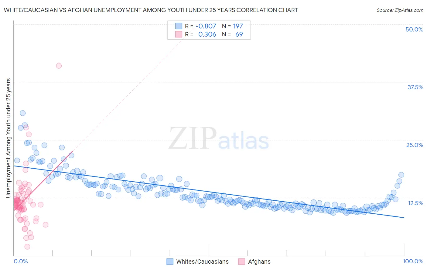 White/Caucasian vs Afghan Unemployment Among Youth under 25 years