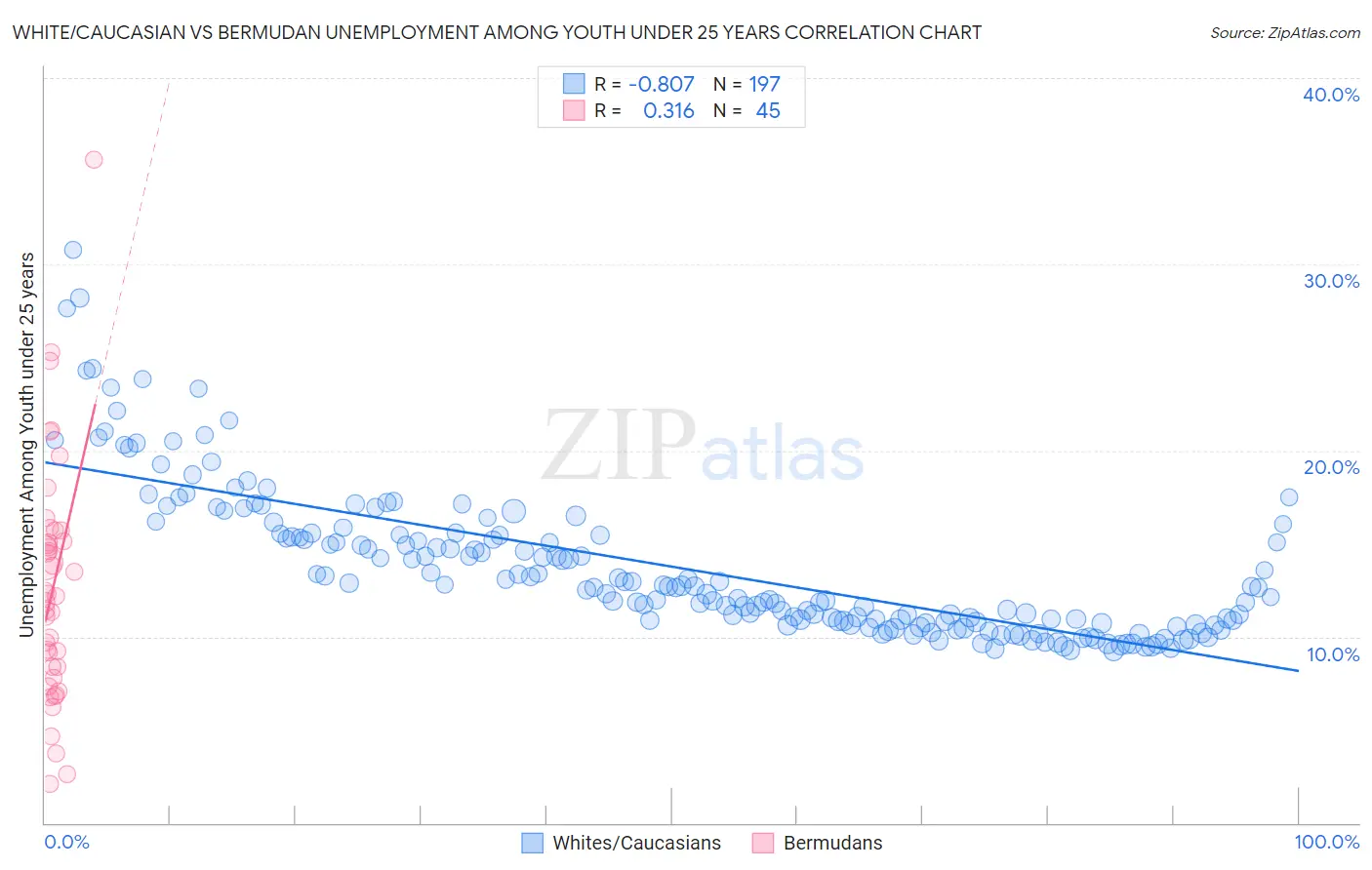 White/Caucasian vs Bermudan Unemployment Among Youth under 25 years