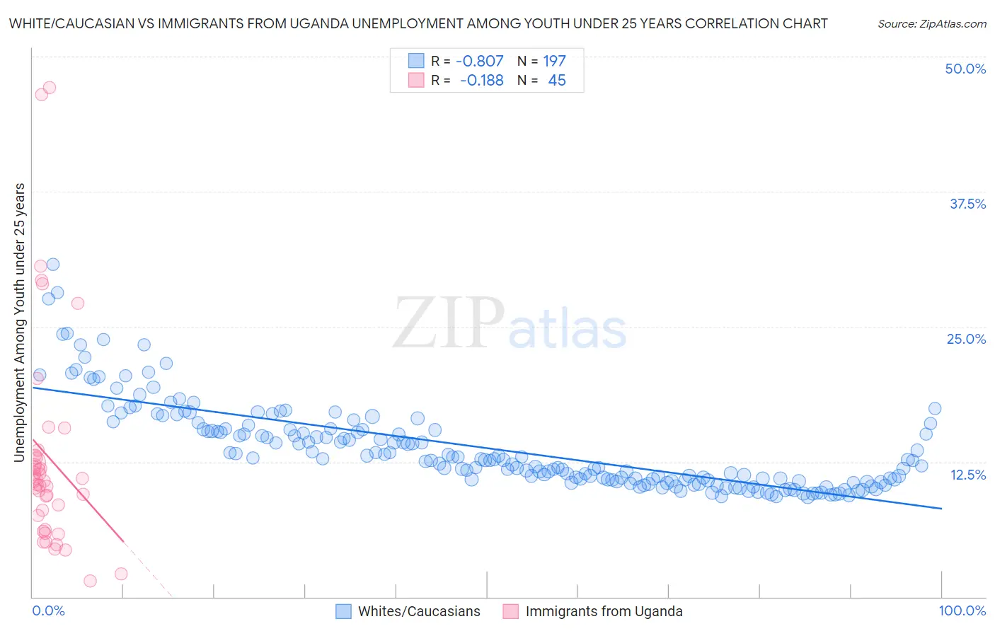 White/Caucasian vs Immigrants from Uganda Unemployment Among Youth under 25 years