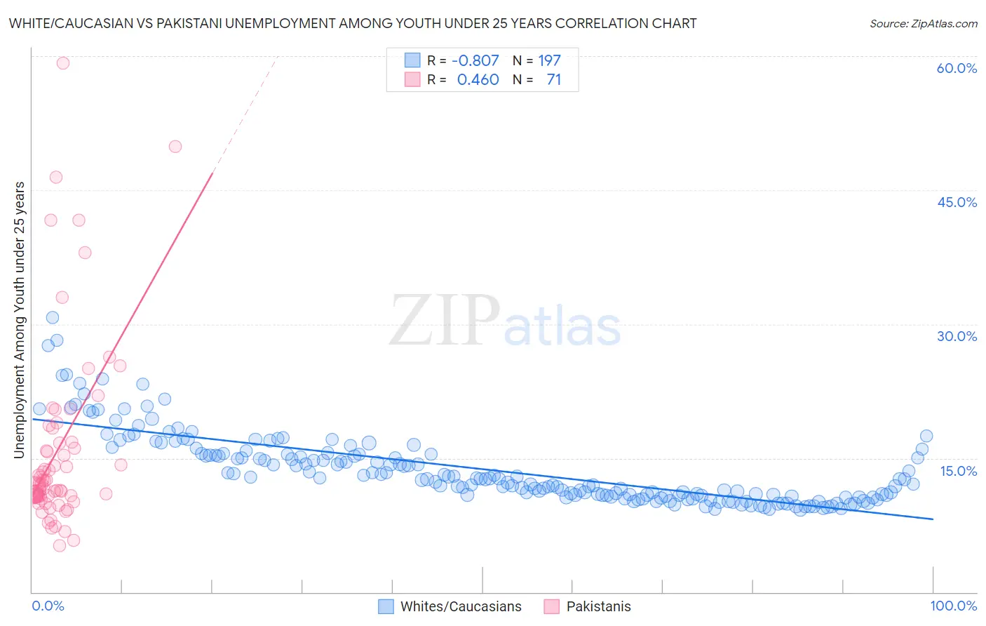 White/Caucasian vs Pakistani Unemployment Among Youth under 25 years