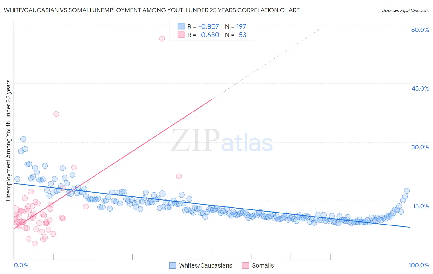 White/Caucasian vs Somali Unemployment Among Youth under 25 years