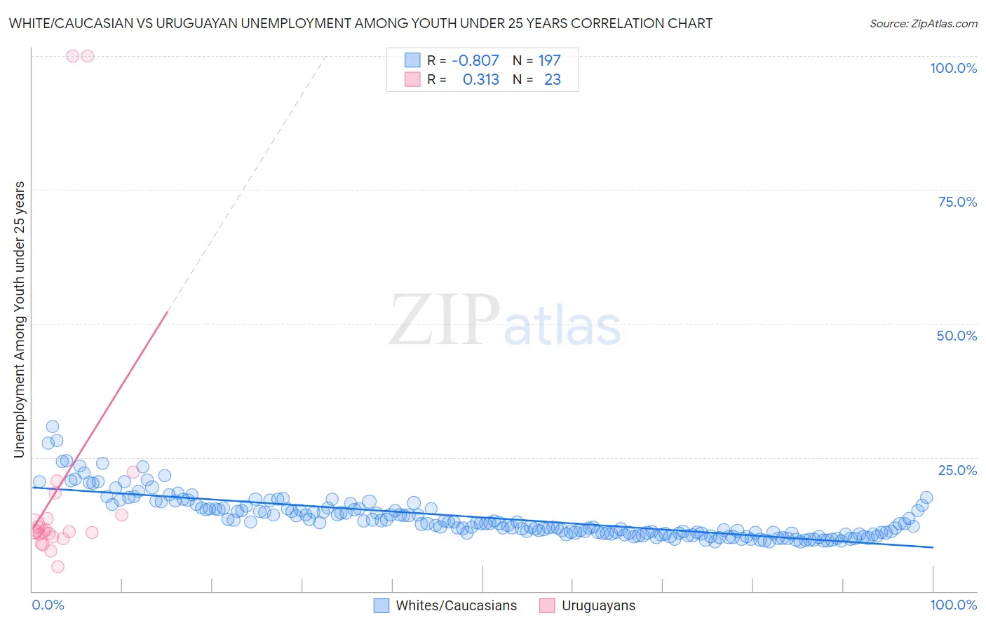White/Caucasian vs Uruguayan Unemployment Among Youth under 25 years