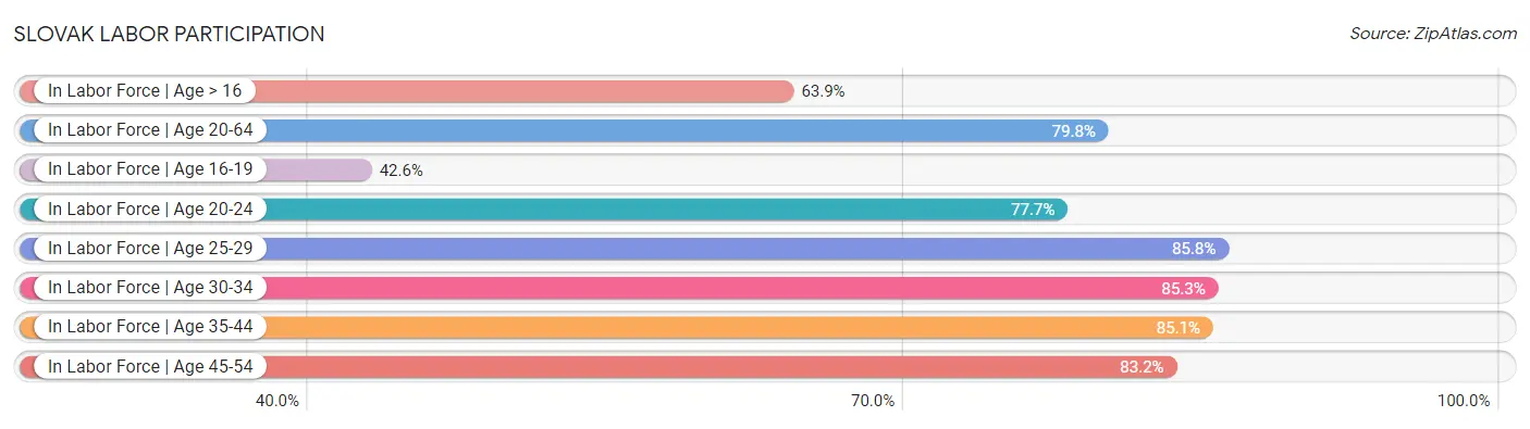 Slovak Labor Participation